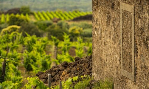 AMICI! VINHOS E DOCES DE JUNHO: -10% NA COMPRA DE 6 ARTIGOS DESTA SELEÇÃO